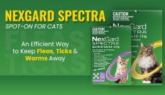 Nexgard Spectra Spot-On for Cats, a reliable solution to protect your feline from fleas, ticks, and worms. Easy application, long-lasting defense. Order now for a healthier pet!