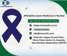 Cancer costs you more than your health; it exhausts you mentally, physically, and financially. Cancer treatment isn’t easy, whether getting support or medicines; the price is high for both. If you are funding cancer treatment by yourself, the expenses on medicines can make a huge difference. In Mumbai, where healthcare is known to be the most brilliant but expensive, there are many alternatives to find affordable cancer medicines.

https://cancerliv.co.in/how-to-access-affordable-cancer-medicines-in-mumbai-a-patients-handbook/