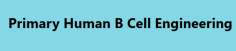 As a CRO specializing in cell-based immunotherapy development, Creative Biolabs proudly launches the construction service of engineering primary human B cells for R&D work. We have strong expertise to modify primary B cells to express therapeutics, e.g. antibodies with pre-selected specificities.