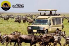 What You Can Do On Your Luxury Safaris in Kenya


Safari Tours in Kenya present an array of attractions. It includes expansive plains teeming with wildlife and rich cultural interactions with the Maasai and Samburu communities. To read our published blog: https://safaritourkenya.wordpress.com/2024/12/23/what-you-can-do-on-your-luxury-safaris-in-kenya/

Visit our website today at: https://www.buymoreadventures.com/kenya-safaris/7-days-kenya-luxury-safari

