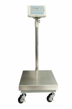 Labnics Floor Balance is a versatile weighing instrument with advanced precision part counting. It measures weight in kg, g, oz, and lb and features external/internal calibration for optimal performance and smooth functionality.