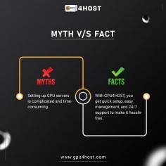 Debunking myths with GPU4HOST! Get top-tier GPU power without the hassle or the high costs. 