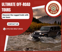 Epic Off Road Adventure Tours

We offer thrilling off-road tours, exploring rugged terrains and remote landscapes. Explore the adventure through nature's most breathtaking and hidden locations.  For more details, call us at (970) 926-WOLF (9653). 