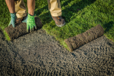 Southland SOD Farms in Oxnard, USA, is renowned for providing top-quality sod, perfect for residential and commercial landscaping. Their premium sod varieties, including Bermuda and Fescue, ensure lush, green lawns with excellent durability and low maintenance. The farm offers fresh, healthy sod delivered with exceptional customer service.