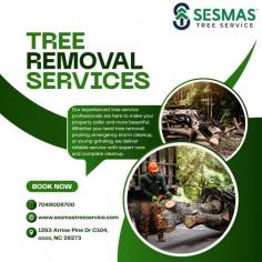 Overgrown, damaged, or unhealthy trees can affect the safety and appearance of your property. When you need tree removal in Pineville, Sesmas Tree Service of Charlotte provides reliable solutions with expert care and attention to detail. Our team uses proven techniques to remove trees safely, minimize risks, and keep your landscape clean.