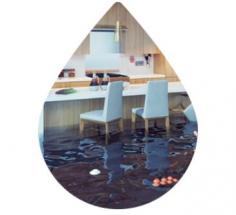 Flood Services Sydney provides fast and reliable flood restoration solutions for residential and commercial properties. Our experienced team responds quickly to water damage, offering water extraction, structural drying, moisture detection, and complete restoration services. Using advanced equipment and proven techniques, Flood Services Sydney helps minimize damage and restore your property efficiently and professionally.