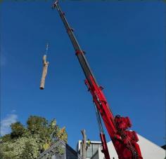 Founded in 2019, Branch Out Tree Specialists provides professional tree care across Sydney, built on respect for the urban environment and more than 15 years of arboricultural experience. Our Tree Lopping North Shore services are delivered with careful planning, technical expertise, and environmentally responsible methods. We assist with pruning, maintenance, removals, stump grinding, and detailed arborist assessments, ensuring every project is handled safely and efficiently. Led by owner James Vineall, our team values honest communication, dependable service, and sustainable solutions. Based in Bondi, we support residential and commercial clients throughout Sydney, helping maintain healthy trees, safer properties, and attractive outdoor environments through professional, reliable workmanship.