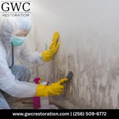 Mold concerns can become more difficult to manage when moisture problems are left untreated. GWC Restoration provides professional mold remediation for properties throughout Huntsville, helping identify affected areas and address conditions that may contribute to mold growth. Our team follows a careful restoration process based on the specific circumstances of each property. Contact GWC Restoration at (256) 509-6772, or send your questions to info@gwcrestoration.com.