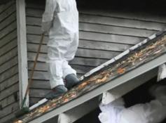 BreathEASY Asbestos Removal provides professional Asbestos Removal Services Sydney for homes, businesses, and other properties. Their experienced team offers reliable assistance with identifying and managing asbestos-related removal requirements. With a focus on careful planning and professional workmanship, BreathEASY Asbestos Removal delivers practical solutions designed to support safer, cleaner, and well-managed property environments.