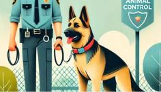 Owning a dog comes with rewarding experiences, but unexpected incidents can create financial responsibilities. A sudden bite, accidental injury, or property damage may result in costly medical bills, repairs, or legal fees. Liability Insurance for Dogs can help eligible owners manage covered claims arising from their pet’s actions. Depending on the policy, protection may assist with qualifying third-party injuries, property damage, and defense expenses. Coverage can be especially valuable for owners whose dogs have specific breed considerations or previous incidents. Understanding available options, policy limits, exclusions, and eligibility requirements helps you choose protection that fits your household and your dog’s individual circumstances.