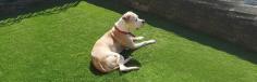Looking to create a stunning vibe in your patio or deck? Buy Artificial Grass Wholesale Bradford!
If you want a beautiful, lush-green outdoor space but don't have the time or patience to maintain one, consider installing synthetic turf. Looking for Artificial Grass Wholesale Bradford? Visit Artificial Grass Wholesale, they host an array of chic, synthetic turf products that’ll bring a lush appeal to your lawn.