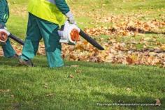 What Are The Benefits Of Installing Domestic Artificial Grass?
Discover the benefits of artificial grass for your home, from reducing lawn maintenance and watering to keeping gardens neat, usable and attractive throughout the year. Artificial grass can work well in shady or muddy areas, save time on routine lawn care and create a polished outdoor space for families, pets and everyday relaxation. Read the full blog for all the essential tips!