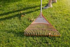 What Are Your Tips For Cleaning Artificial Grass?
Discover practical ways to keep your artificial grass looking fresh, clean and well-maintained with simple brushing, rinsing, stain removal and pet-care tips. Learn what cleaning products to use, what to avoid, and how to handle leaves, spills, moss and flattened areas effectively. Read the full blog for all the essential tips!