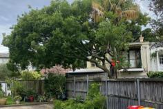 Founded in 2019, Branch Out Tree Specialists is dedicated to caring for Sydney’s trees with professionalism, experience, and environmental responsibility. With over 15 years of arboricultural experience, our skilled team provides dependable pruning, maintenance, removals, and tree assessments tailored to each property. Led by owner James Vineall, we focus on safe practices, sustainable solutions, clear communication, and quality workmanship. Our Tree Removal Eastern Suburbs Sydney services help homeowners and businesses address hazardous, damaged, or unwanted trees efficiently while protecting surrounding structures and landscapes. Based in Bondi, we proudly serve communities throughout Sydney, helping create safer, healthier, and more attractive outdoor spaces for years to come.
